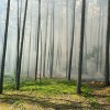 Pfingsten 2023: Waldbrand in Gartow